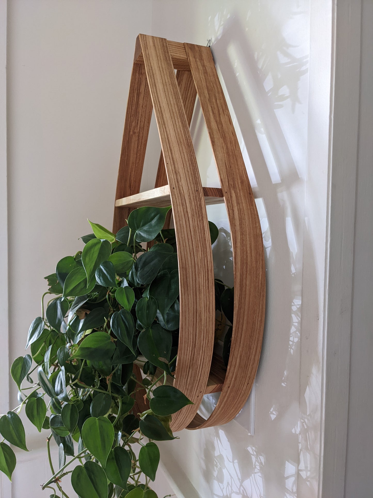 Tear Drop Shelf